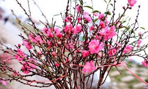 Lịch nghỉ Tết Nguyên đán 2021 chính thức với người lao động