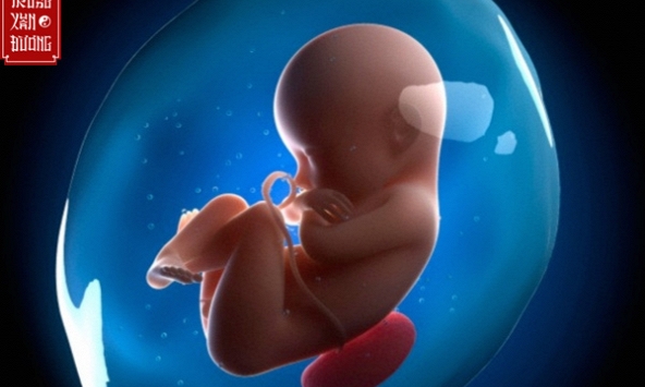 Kỹ thuật truyền ối giúp 20 sản phụ bị thiểu ối giữ con, sinh nở khỏe mạnh