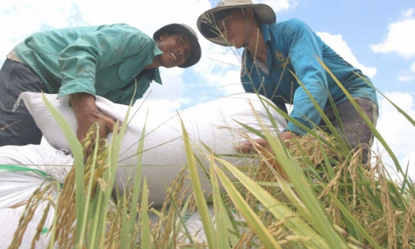 Lần đầu tiên Việt Nam vào nhóm nước có chỉ số phát triển con người cao