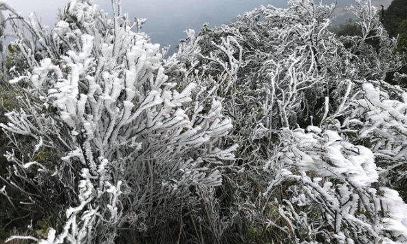 Rét đậm, rét hại có thể duy trì từ nay đến hết ngày 23/12