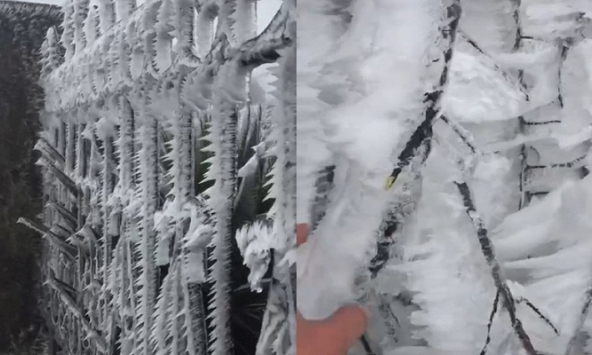 Thực hư cảnh Mẫu Sơn phủ trắng băng tuyết