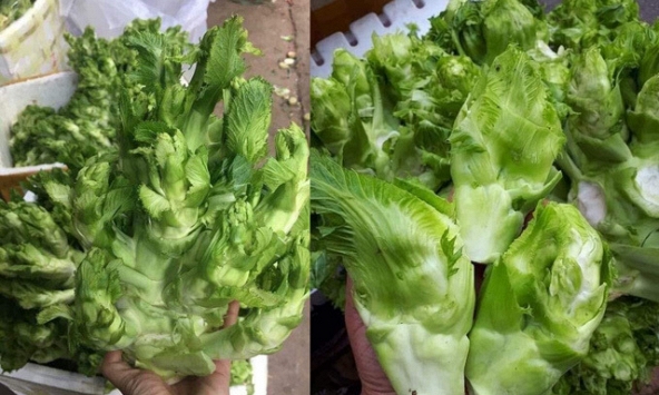 Rau mầm đá giá chỉ 20.000 đồng/kg, bưởi diễn 5.000 đồng/quả rao bán tràn lan