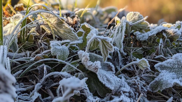 Nhiệt độ xuống -2 độ C, băng phủ trắng đỉnh núi ở Cao Bằng