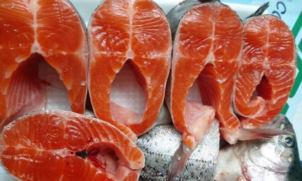 Giá cá hồi Sapa giảm sâu chưa từng có