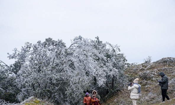 Miền Bắc rét tăng cường, học sinh nhiều nơi phải nghỉ học