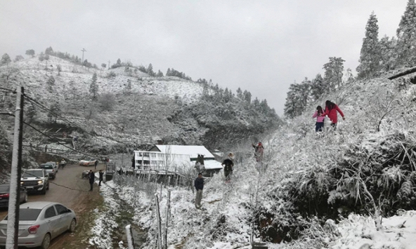 Tuyết dày đặc khiến các tỉnh miền núi Bắc Bộ thiệt hại nặng nề