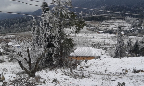 Tuyết rơi phủ trắng xóa cả bản làng, núi rừng vùng cao