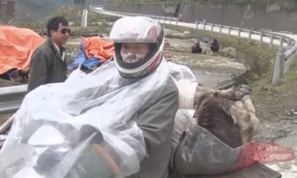 Vì sao Thừa Thiên - Huế có gần 1000 gia súc chết rét dù không nằm trong vùng trọng điểm về rét đậm, rét hại?