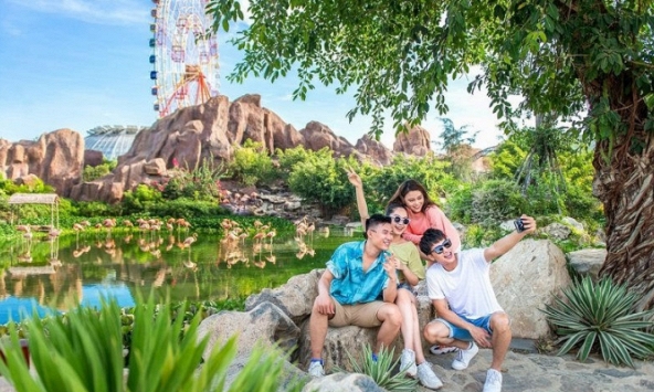 Khám phá 'mùa hoa Hà Lan' sớm nhất thế giới tại đảo nhiệt đới Hòn Tre