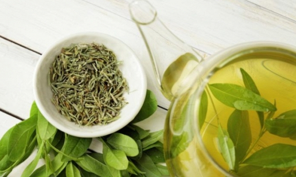 Những tác dụng đặc biệt từ trà xanh