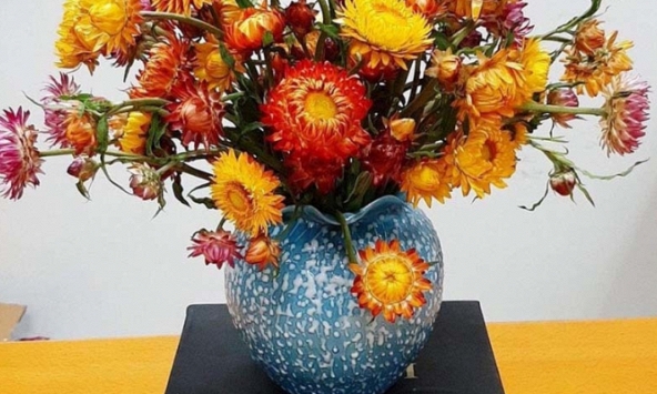 Hoa cúc không tàn của Trung Quốc gây sốt thị trường Tết Tân Sửu