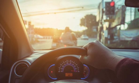 Luật tình người