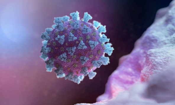 Phát hiện mới: Virus corona có thể 'ẩn nấp' trong não người