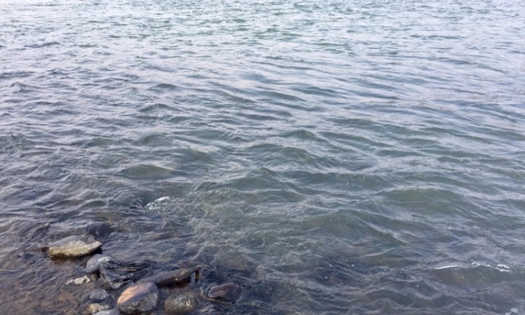 Nước sông Hồng chuyển màu xanh ngọc 