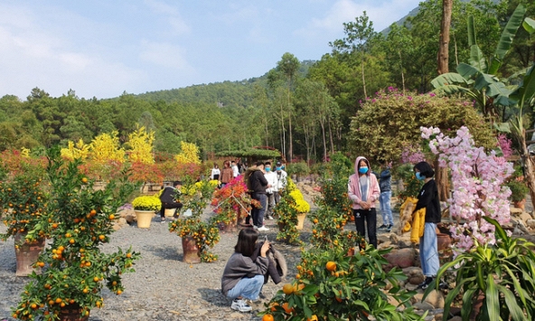 Các hoạt động du lịch tại Thanh Hóa trở lại trạng thái bình thường