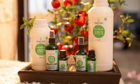 Tinh dầu sả Java: Cây trồng hiệu quả trên đất dốc và bạc mầu