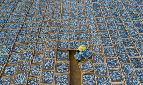 Nhiếp ảnh gia của Việt Nam chiến thắng ở hạng mục du lịch của giải SWPA năm 2021