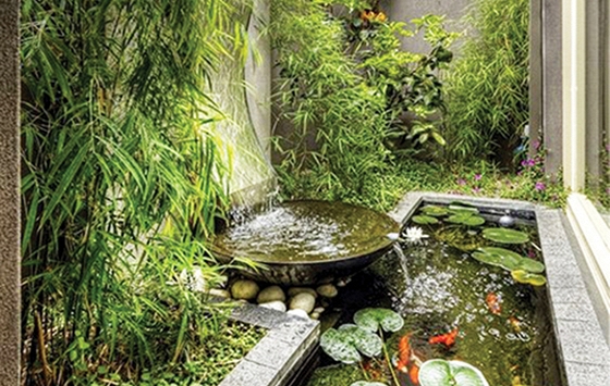 Sân sau tuyệt vời với ao nhỏ 