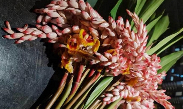 Lan lúa - hoa rừng bờ bụi gây sốt  được nhiều người săn mua 