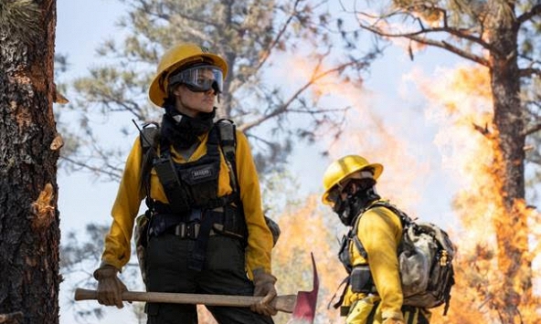  Angelina Jolie sẽ trở lại màn ảnh rộng với 'Kẻ Nguyền Ta Chết'