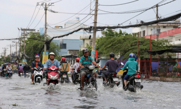 Mưa lớn ở Sài Gòn khiến cây đổ, nhà ngập nước