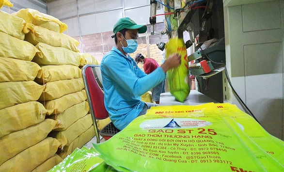 Bộ Công thương: 'Nếu không sớm có động thái thì gạo ST25 có thể bị mất thương hiệu tại thị trường Mỹ'