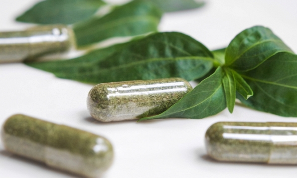 Thái Lan phát hiện thảo dược có khả năng chống Covid-19