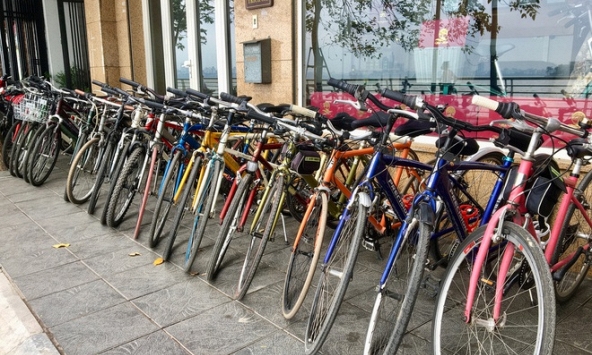 Dịch vụ cho thuê xe đạp ở hồ Tây doanh thu lên tới vài triệu/ngày