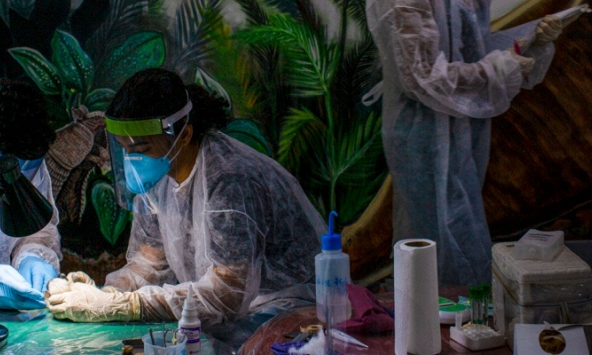Các nhà khoa học truy lùng khắp Amazon để tìm những mầm bệnh có thể gây ra đại dịch tiếp theo