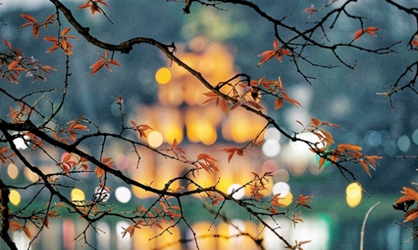 Tháng Mười về thổn thức những đắm say