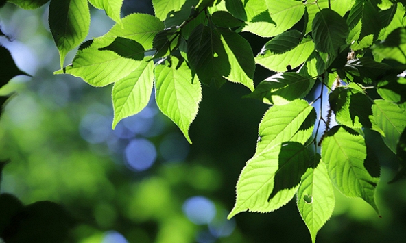 Đừng đi tìm một cuộc sống như ý