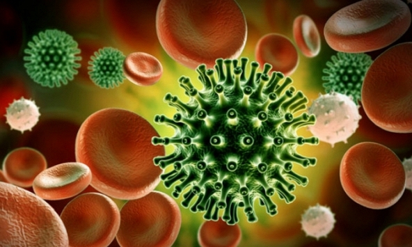 4 biến thể nguy hiểm nhất của virus SARS-CoV-2