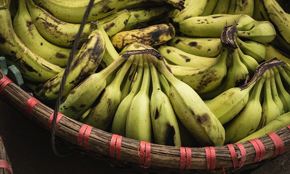 Chuối đồng và chuối vườn