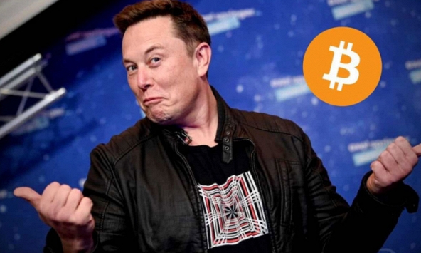Elon Musk đã liên tục khiến thị trường tiền số chao đảo 