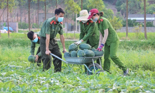 Công an ở Bắc Giang giúp người dân thu hoạch 8,5 tấn dưa 