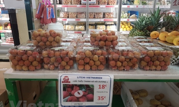 Lô vải thiều Thanh Hà đầu tiên mang tem truy xuất được bán tại Pháp