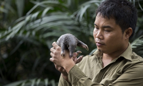 Nhà bảo tồn tê tê Nguyễn Văn Thái giành giải thưởng “Nobel xanh” danh giá thế giới