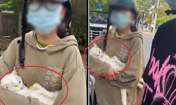 Dịch vụ thú y có phải là thiết yếu trong chỉ thị 16?