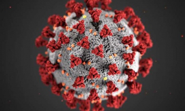 Các nhà khoa học đã tìm ra phương pháp mới để điều trị Covid-19