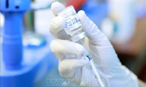 Chính phủ Anh và Séc viện trợ vaccine phòng COVID-19 cho Việt Nam