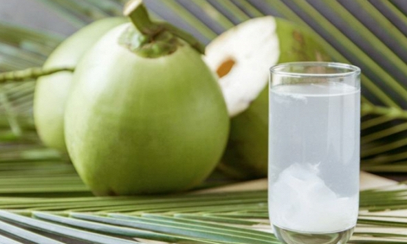 Uống nước dừa sau khi tiêm vaccine Covid-19 giúp sức khỏe mau hồi phục
