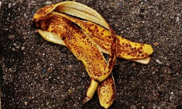 Các nhà khoa học nữ ĐH Lạc Hồng nghiên cứu thành công quy trình tạo nhựa sinh học từ vỏ chuối