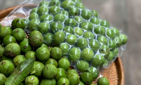 Việt Nam lần đầu tiên xuất khẩu quả sấu đông lạnh sang Australia