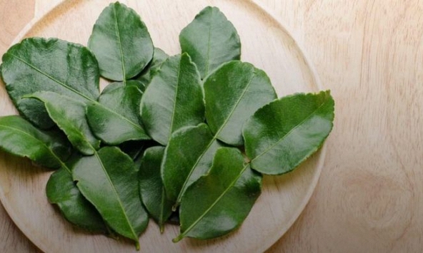 Lá chanh Việt Nam giá rẻ như cho, sang nước ngoài bán 6,35 triệu đồng/kg