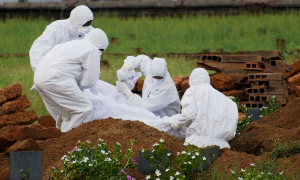 Ấn Độ bùng phát dịch bệnh do virus Nipah gây ra