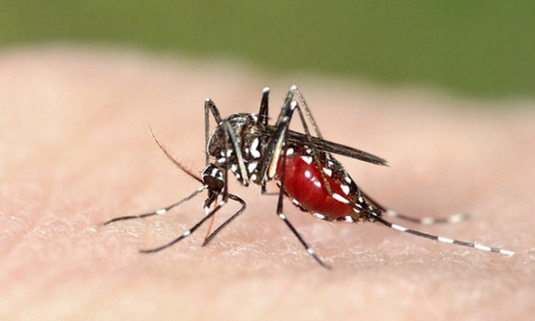 Đã có có vắc xin chống sốt rét đầu tiên dành cho trẻ em