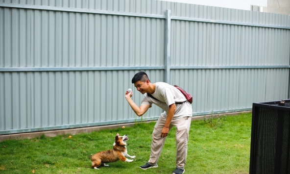 Chi 63 triệu gửi chó cưng trong 3 tháng dịch ở TP.HCM