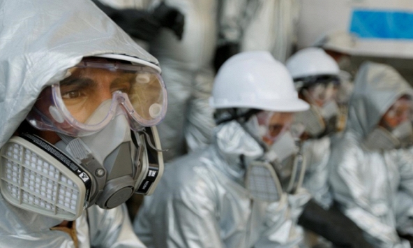 Chuyên gia cảnh báo thế giới có thể đối mặt đại dịch mới từ virus lây từ người sang động vật