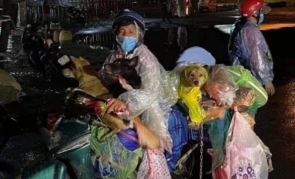 Vụ tiêu hủy 15 con chó ở Cà Mau: Trưởng trạm y tế xin nghỉ việc