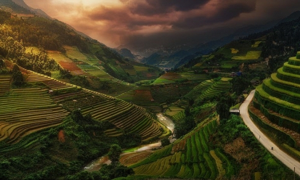 Ảnh ruộng bậc thang Việt Nam lọt top những tác phẩm ảnh góc rộng quốc tế xuất sắc